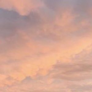 Meet your Posher, Saxton